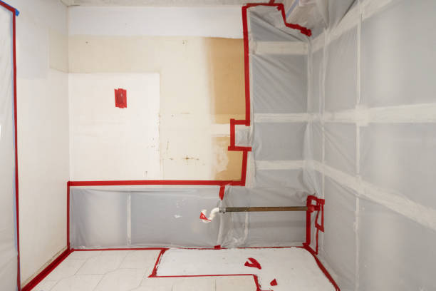 Best Real Estate Mold Inspection  in Elberta, AL