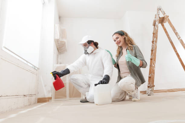 Mold Removal for HVAC Installations in Elberta, AL