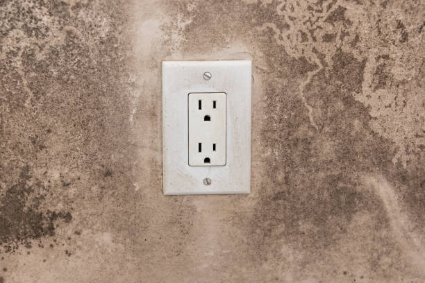 Best Dehumidification Services  in Elberta, AL