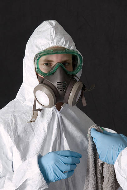 Forensic Mold Investigation in Elberta, AL